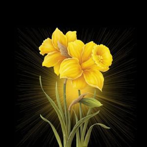 Meet your Posher, Timothy